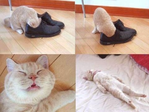 누 이미지