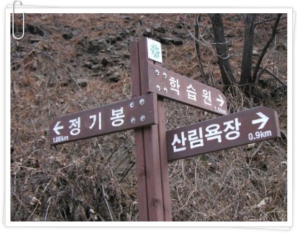 마전주유소 이미지