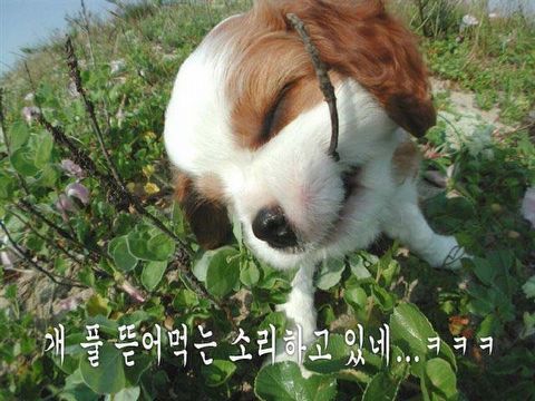 이김 이미지