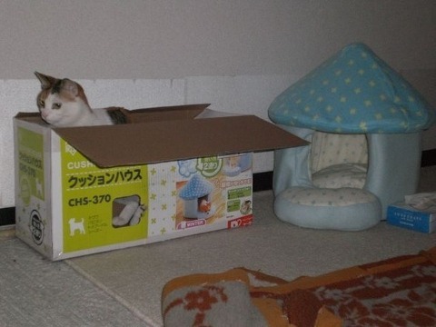 꾸믈 이미지