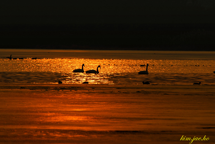 어린왕자의들꽃사랑마을