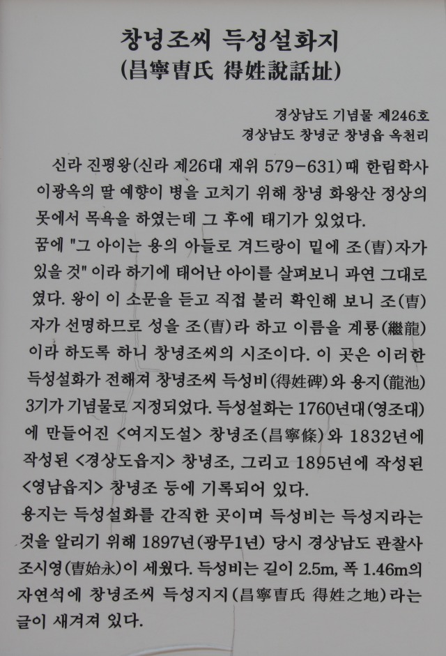 지지비 이미지