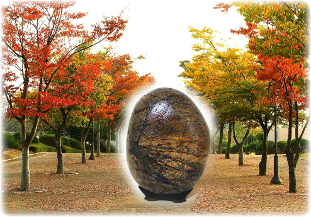 샘물향기 이미지