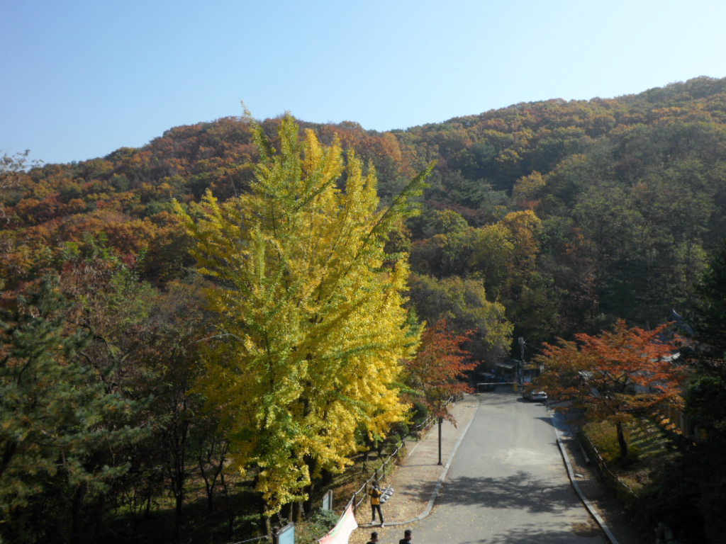 남한산성 이미지