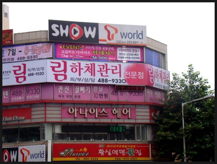 박경란바디 이미지