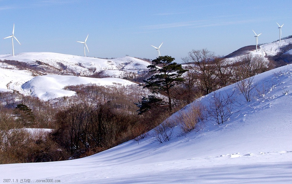 경원관광(주) 이미지