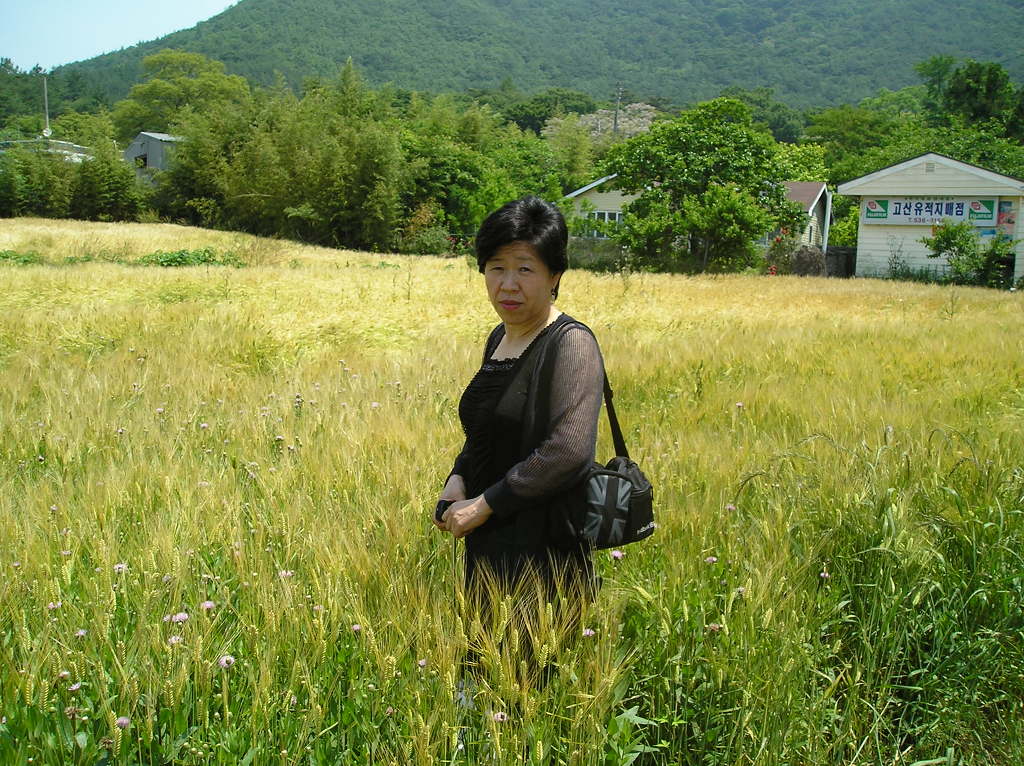 보성완도 이미지