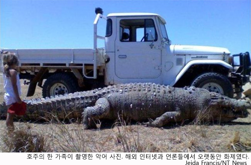 트럭몬스터 이미지