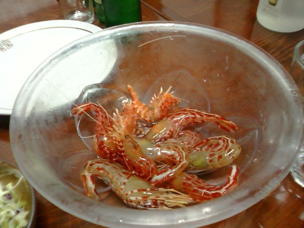동해안주유소 이미지