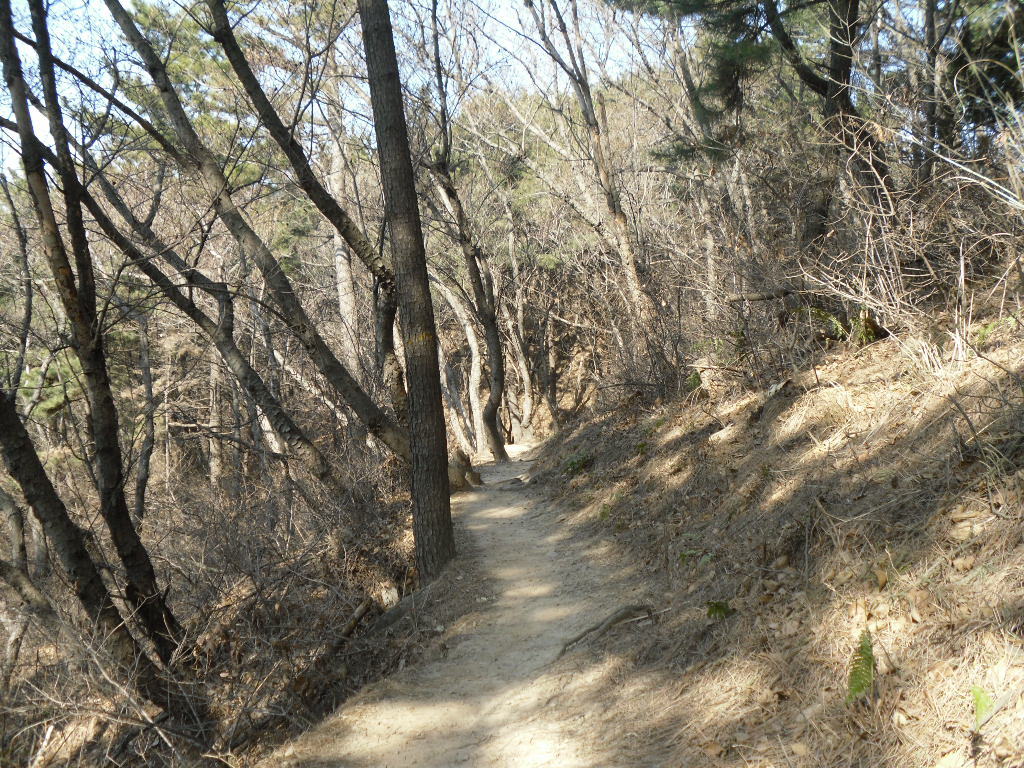 달천주유소 이미지