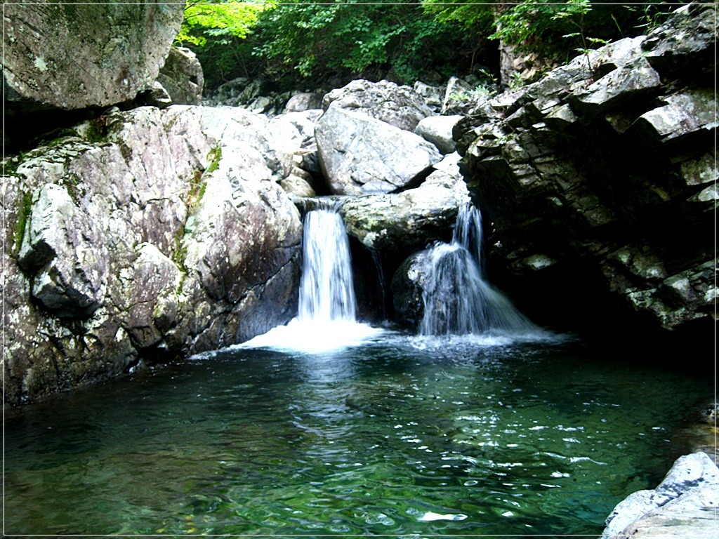 심심이 (주) 이미지