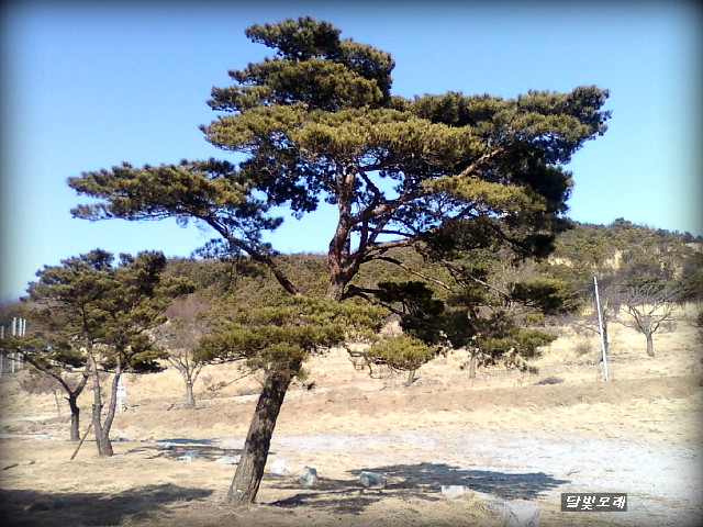 오케이목장 이미지