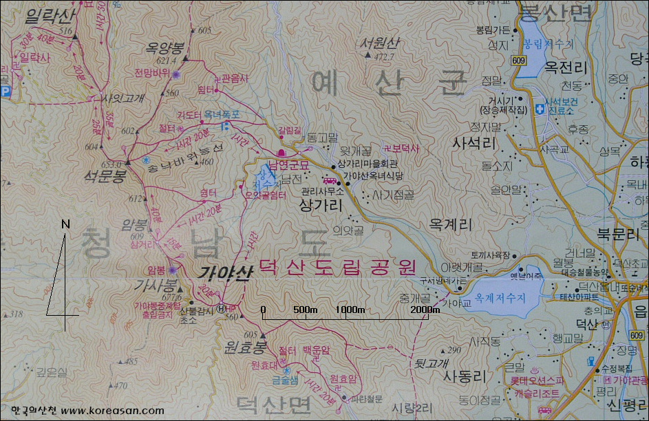 조*태1 이미지