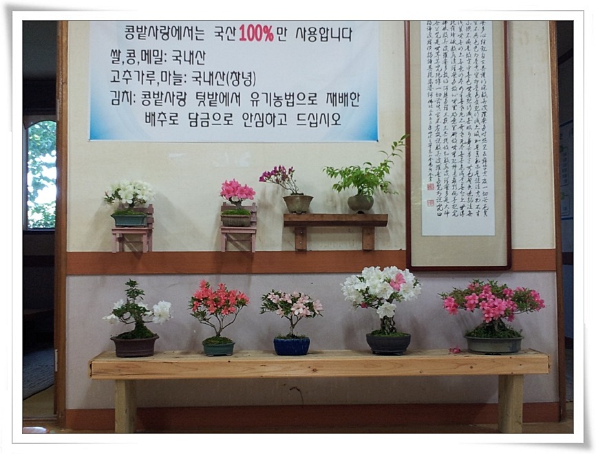 사랑식당 이미지