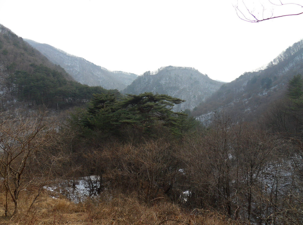 개울 이미지