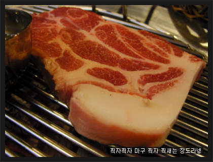 지금,돼지 이미지