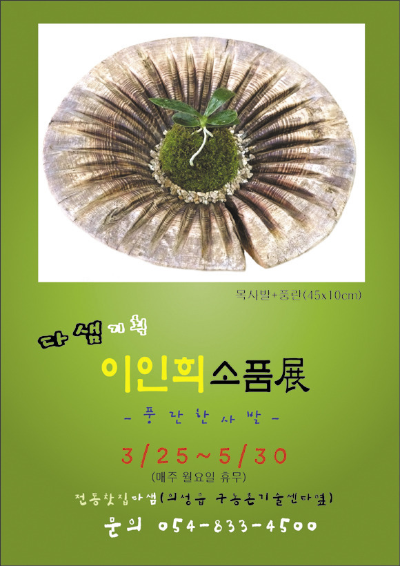 다샘 이미지