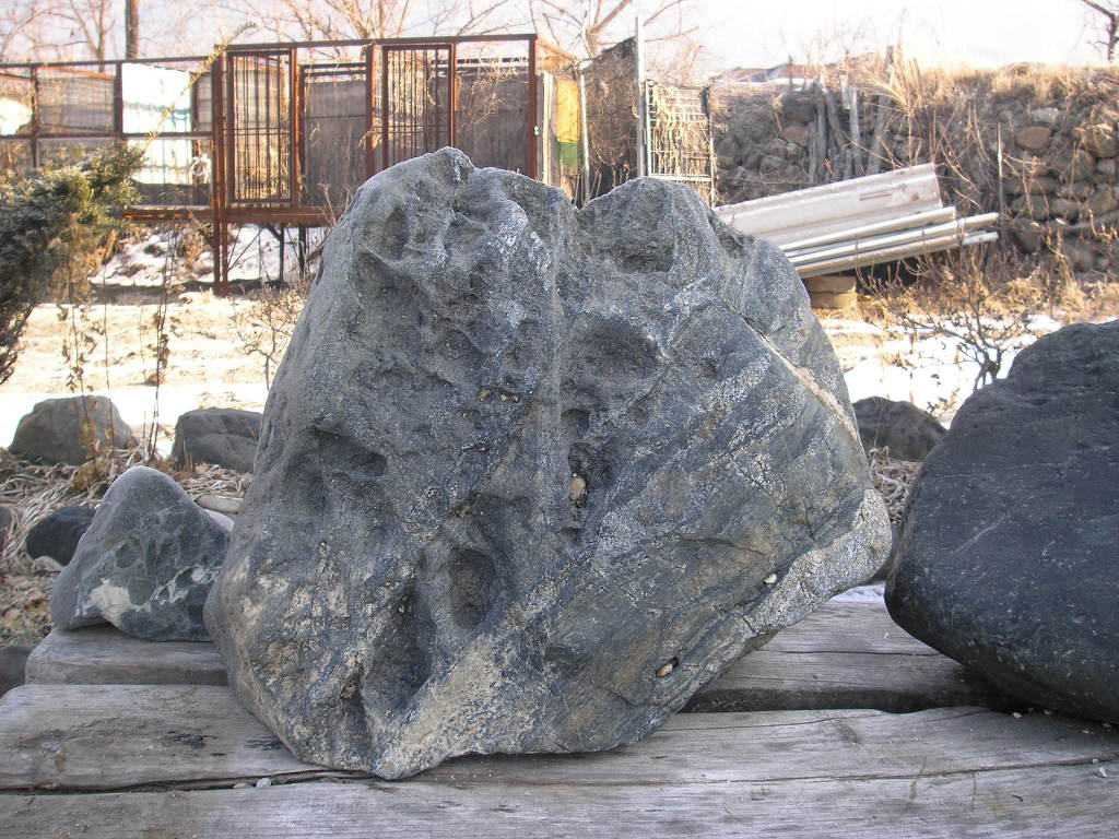 수석오리 이미지