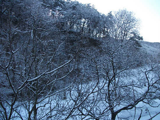 춘풍 이미지
