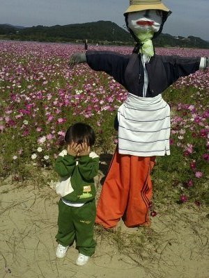 가식 이미지
