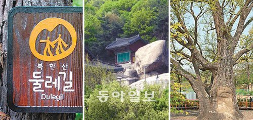 봉우리 이미지