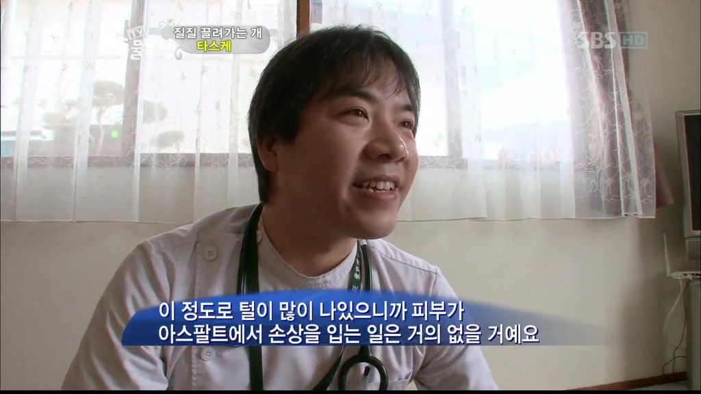 [동물농장] 목줄로 질질 끌려다니는 개.JPG | 인스티즈