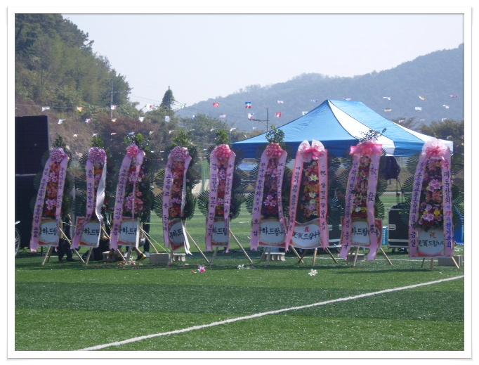 부림초등학교 이미지