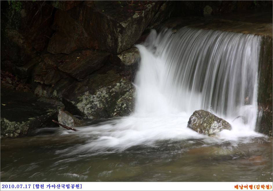 폼생폼사 이미지