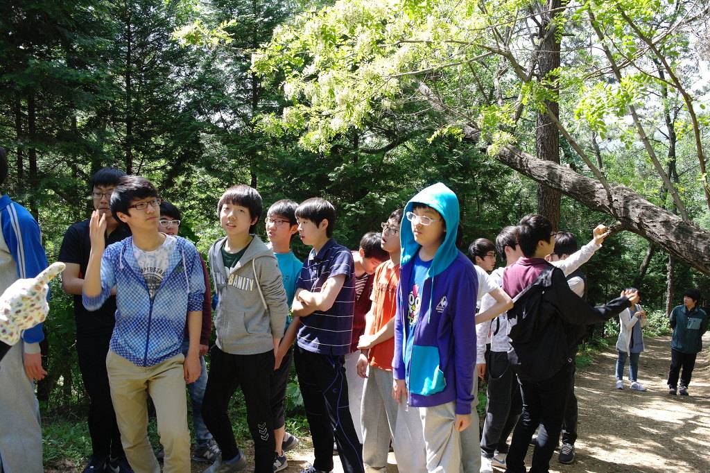 팔용중학교 이미지