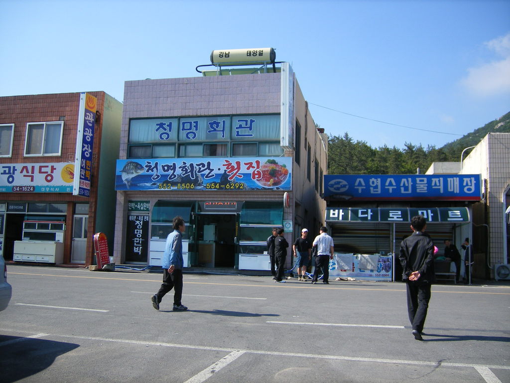예송 이미지