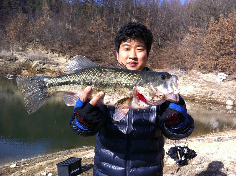 바다고기 이미지