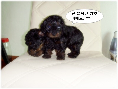 논골마켓 이미지
