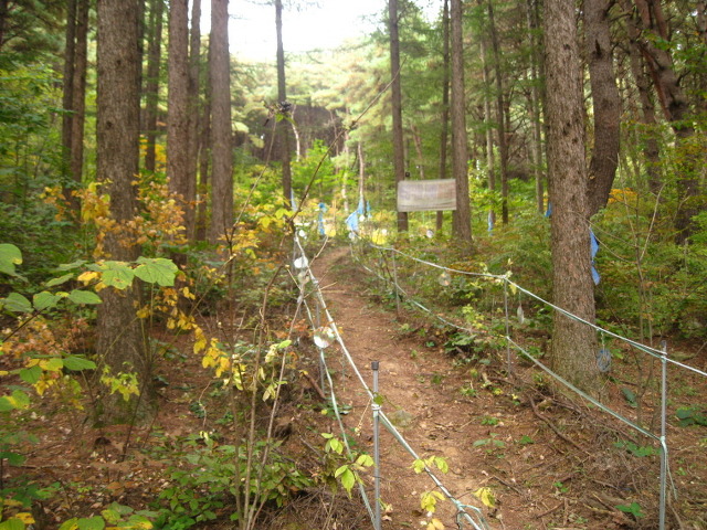 지리산농원 이미지