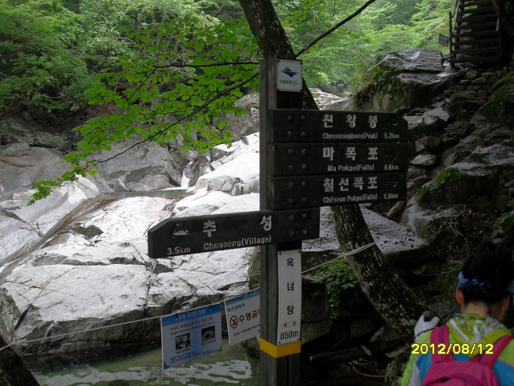 지리산흑도야지 이미지