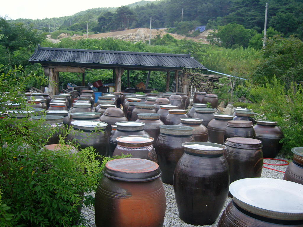 치악싸리골된장 이미지
