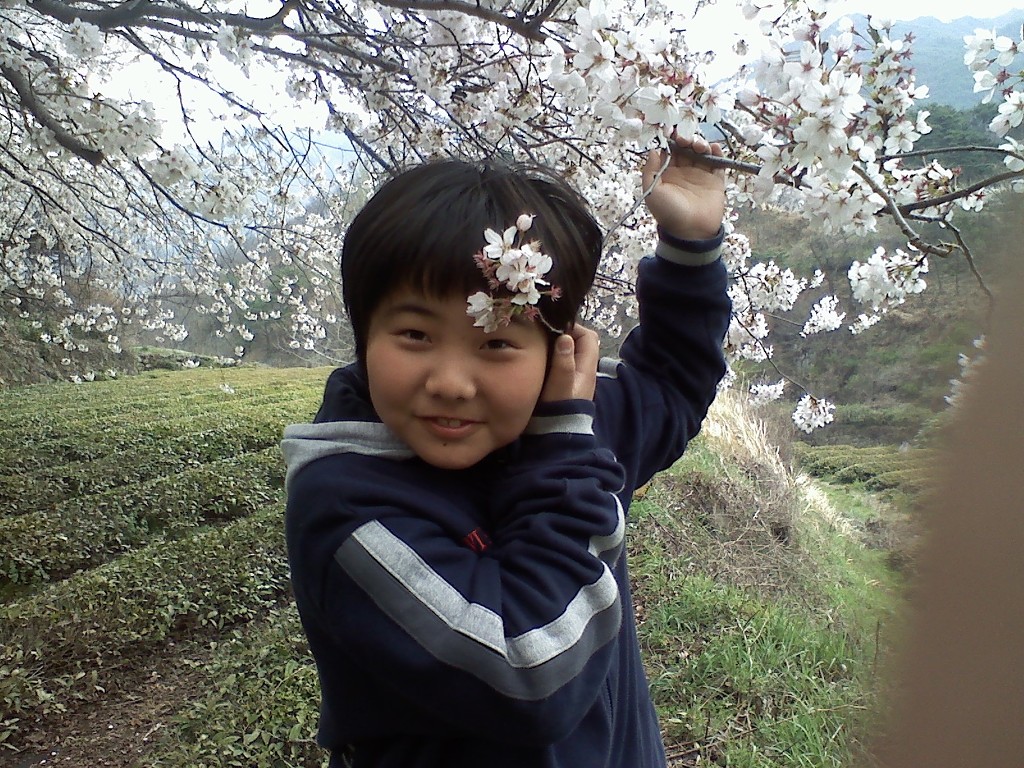 광돈 이미지