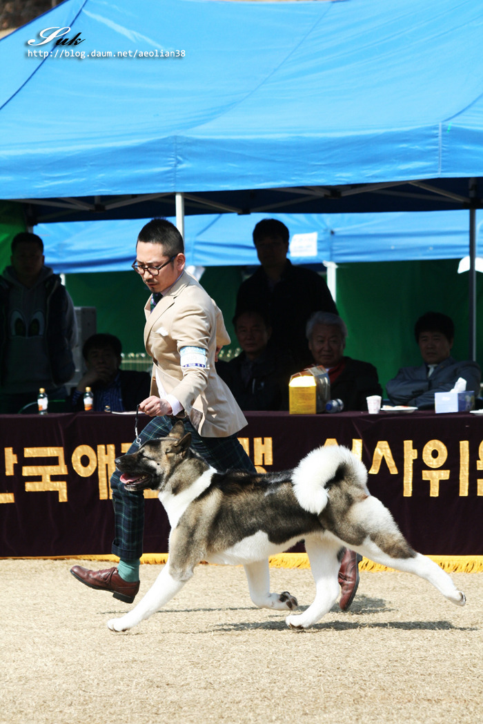수지양 이미지