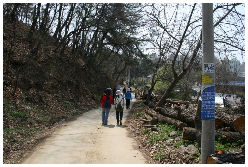 춘초몽 이미지