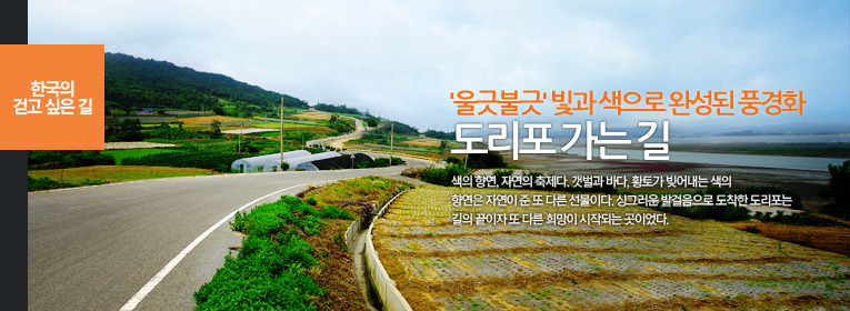 도리포 이미지