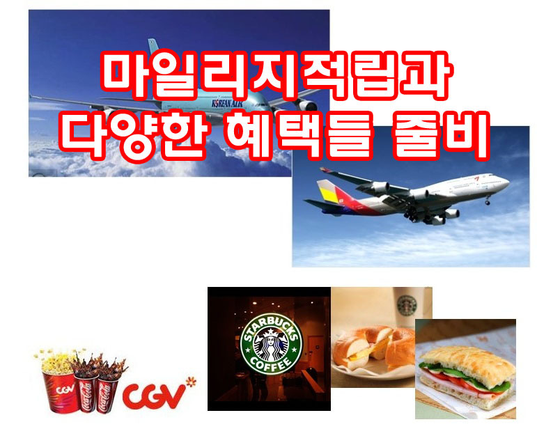 마일마일 이미지