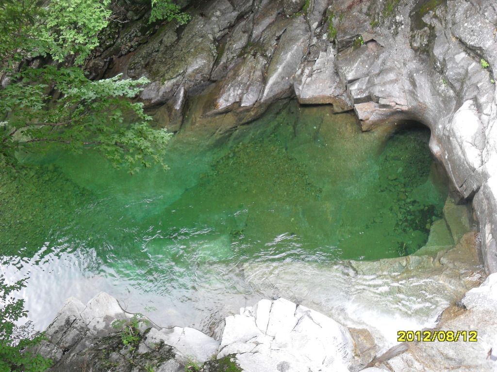 지리산흑도야지 이미지