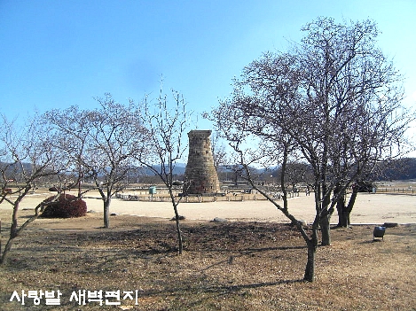 봄소리 이미지