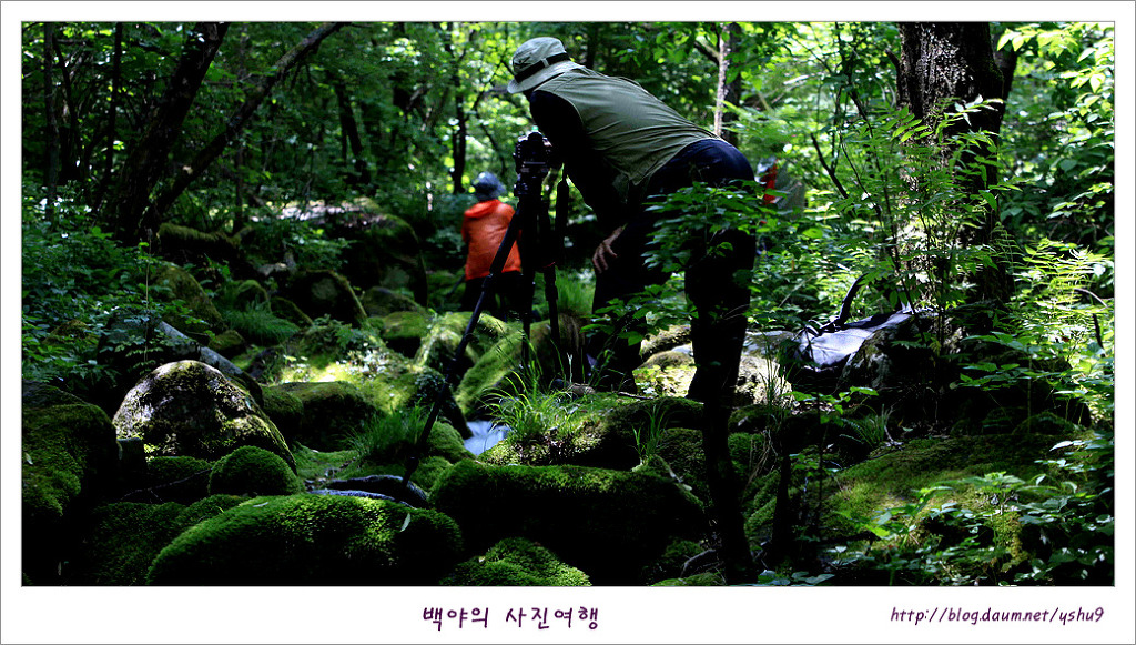 상동 장산 야영장 이미지