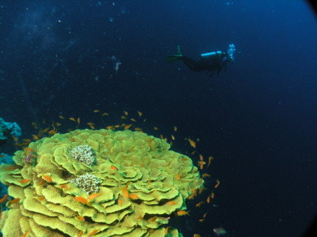블루홀(BLUE HOLE) 이미지