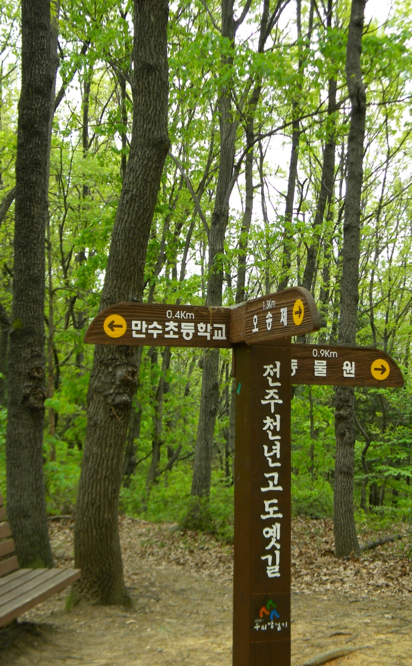 오월숲 이미지