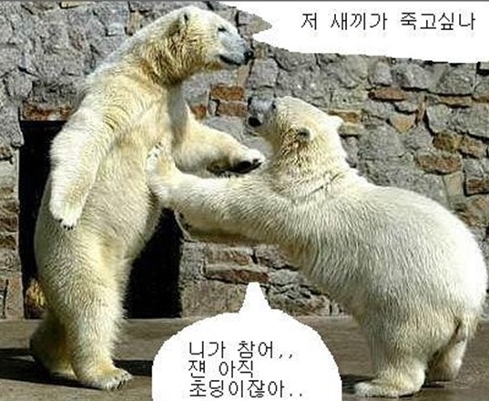 참,어 이미지