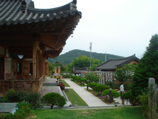 그린파이브 이미지