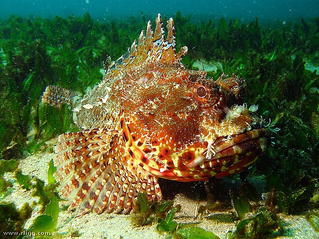 187E4B4F4D4E825E2EF5B5