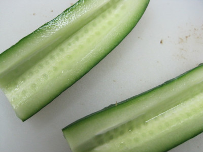 참치블루스 이미지