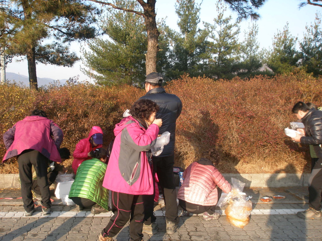 대관령어울림 이미지